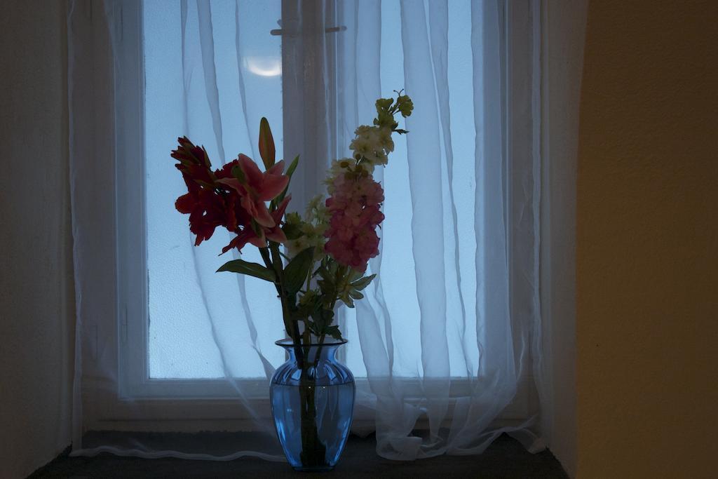Garden House Hotel Будапеща Екстериор снимка