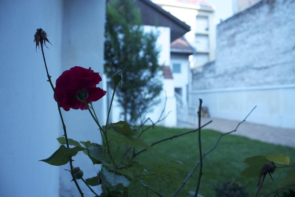 Garden House Hotel Будапеща Екстериор снимка